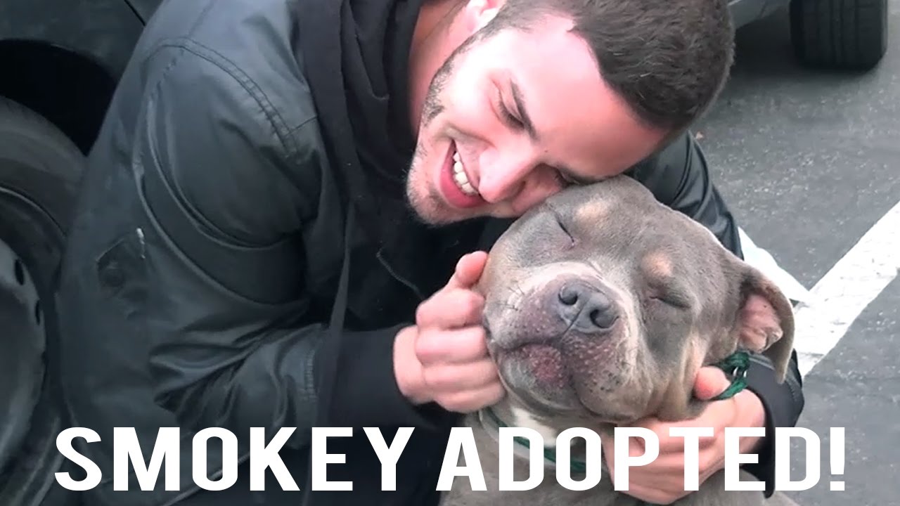 Smokey Adopted!
