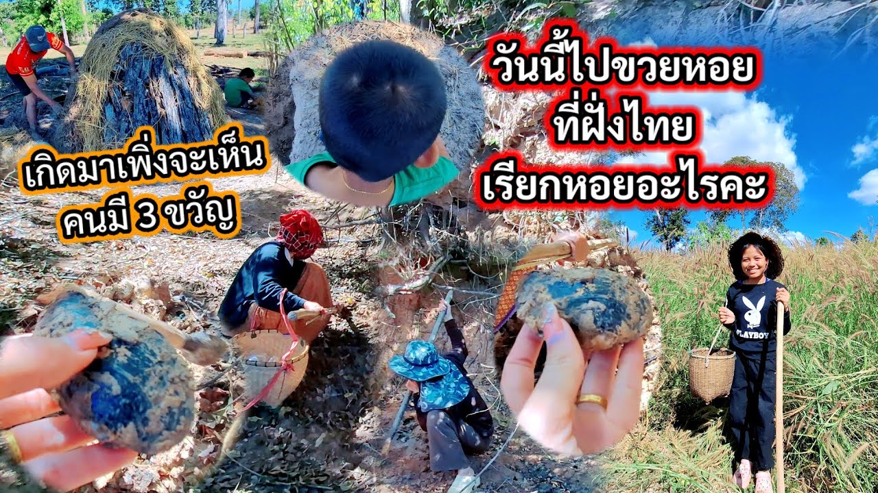 #เกิดมาพึ่งเคยเห็นคนมี 3 ขวัญ😱# วันนี้มาขวยหอยที่ไทย🇹🇭 เรียกว่าหอยอะไร 🐚#สาวลาว 🇱🇦6 มกราคม ค.ศ. 2026
