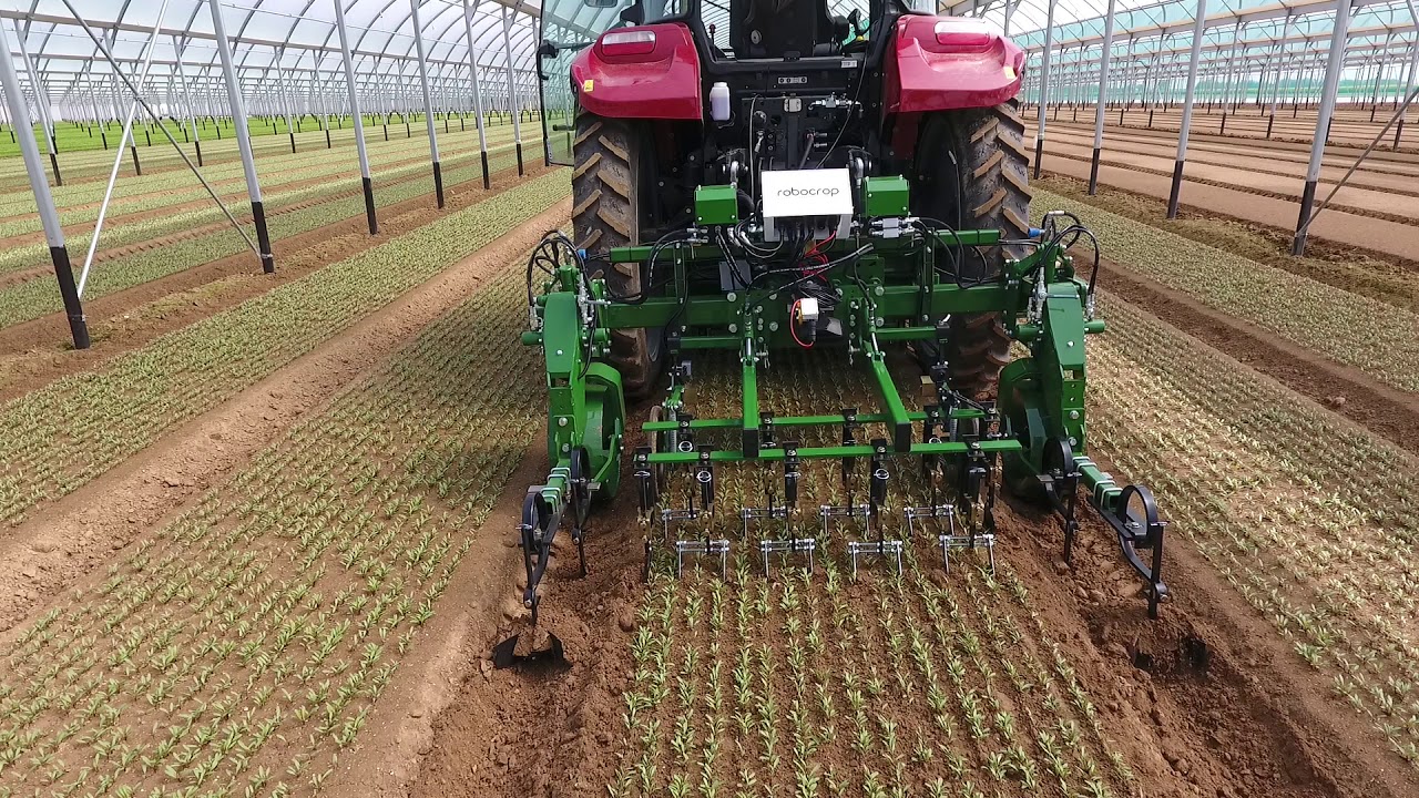 Robocrop Guided Hoes - Baby Leaf Salad