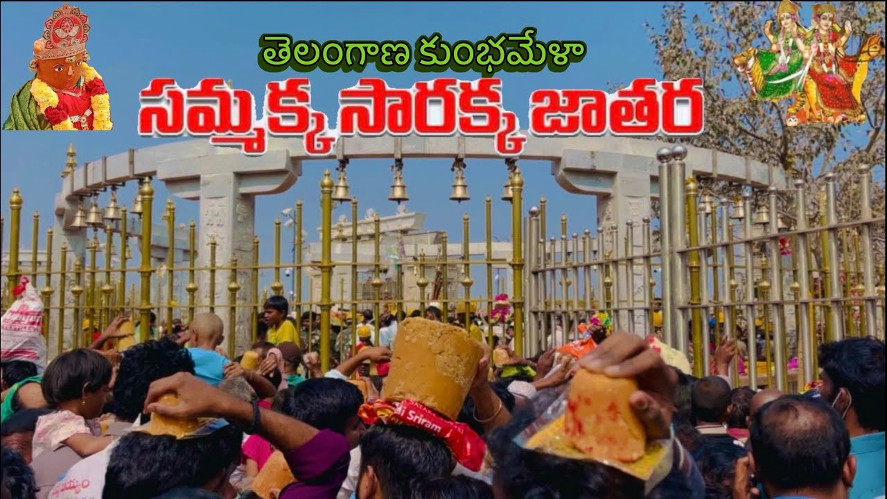 మేడారం జాతర |Medaram Jathara 2026 Vlog|World’s largest Tribal Festival|
