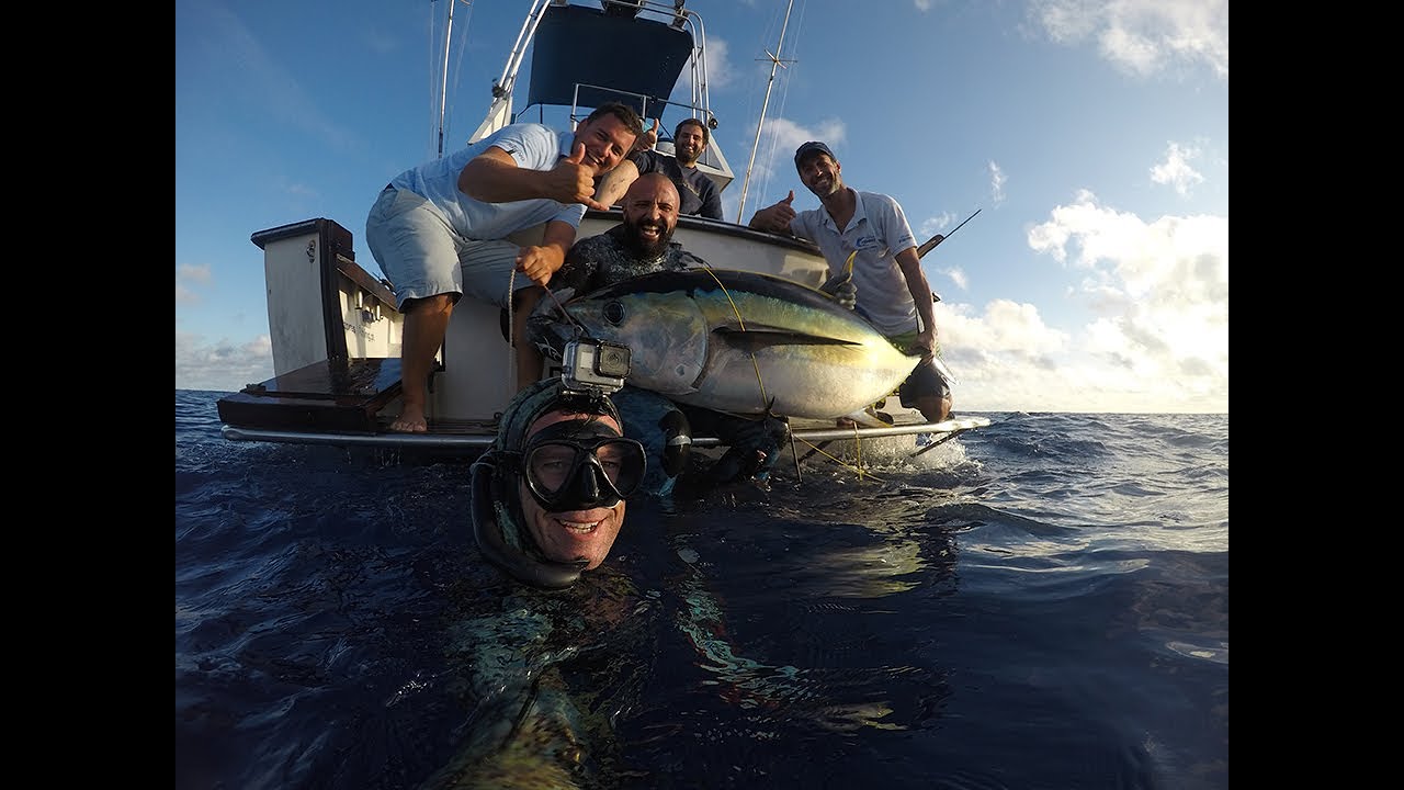 Spearfishing on blue Waters for Big Tunas