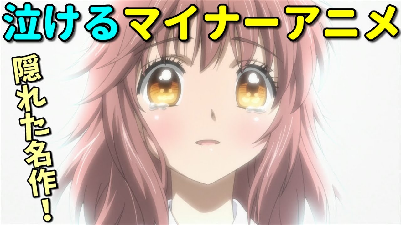 これは知らんやろ！泣けるマイナーアニメ6選