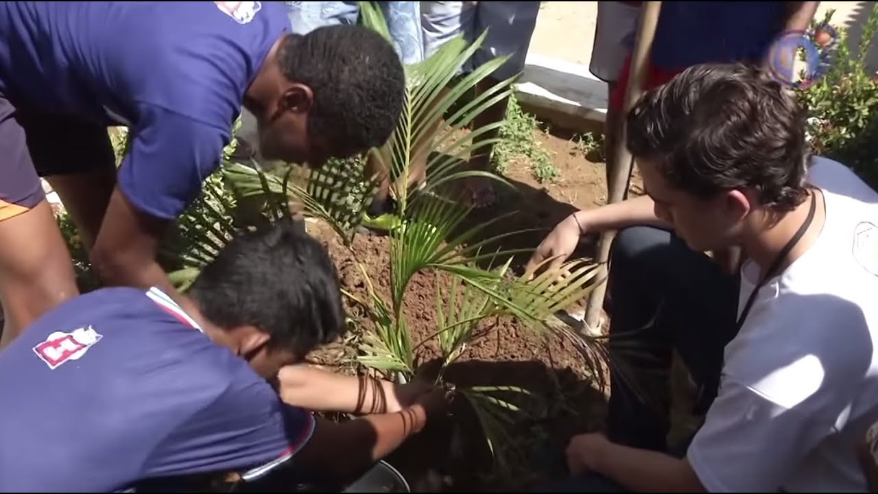 Educação Ambiental nas Escolas