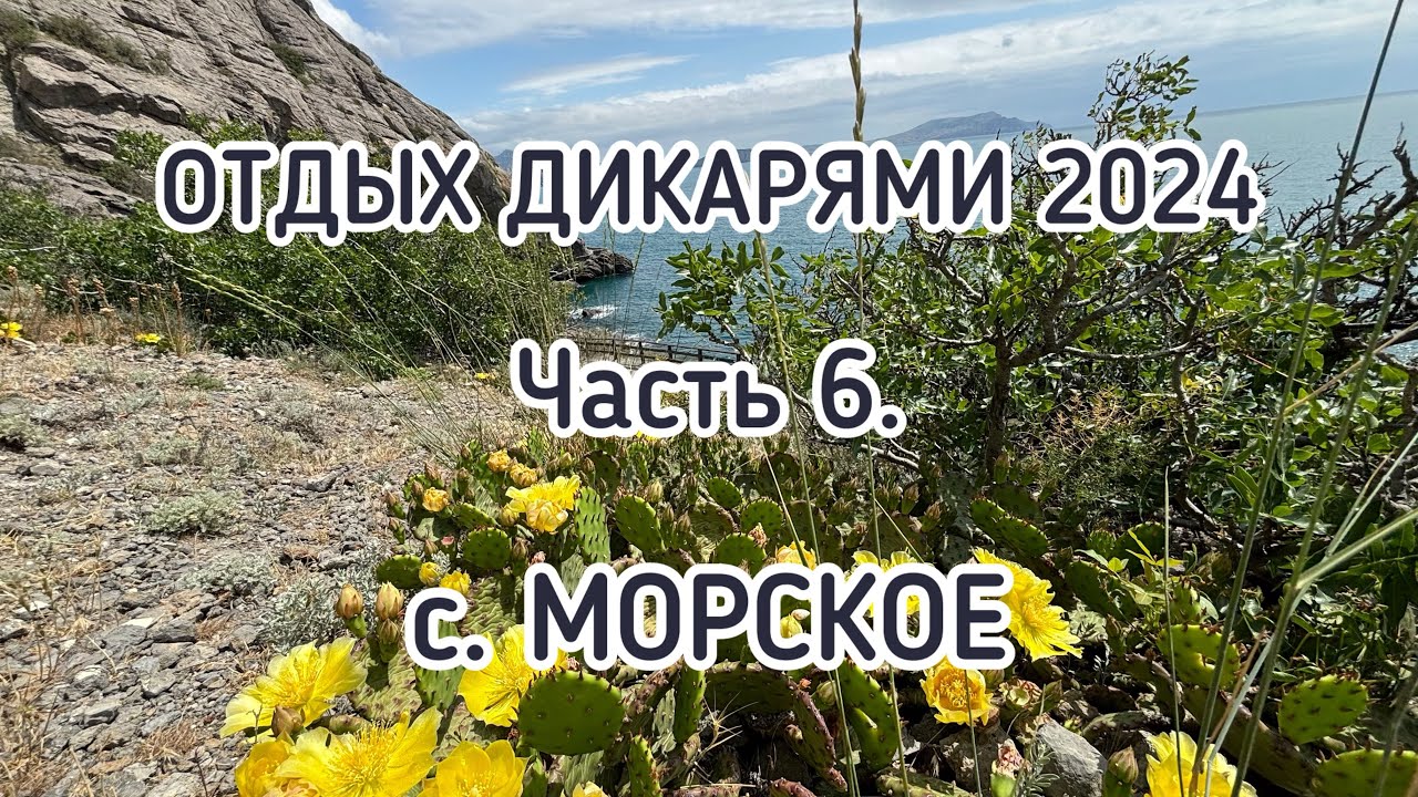 ОТДЫХ ДИКАРЯМИ 2024. Часть 6. Крым. с. Морское