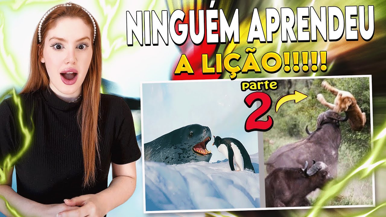 REACT: Quando os Animais Escolhem o Oponente Errado PARTE 2! - Fala de Tudo | cortes da carolbalds