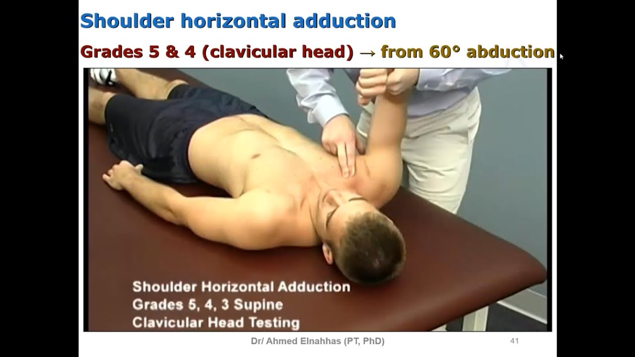 MMT of Shoulder, Elbow & Forearm Muscles