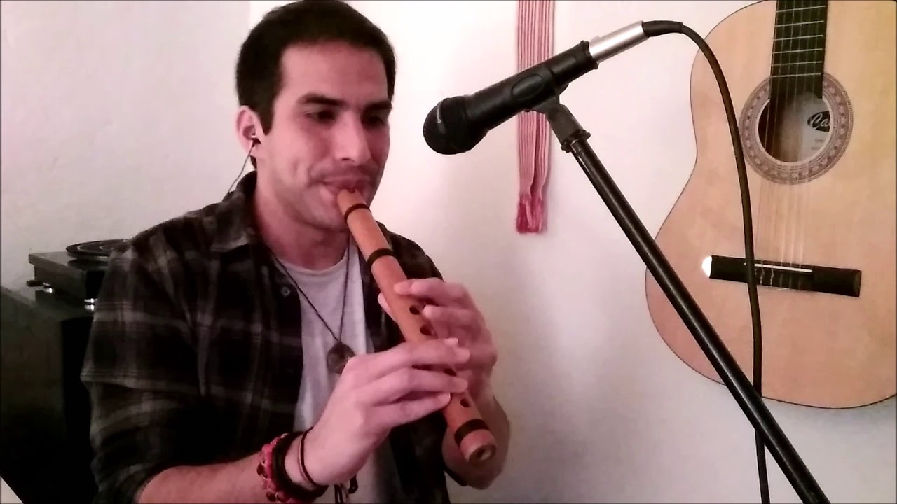 Luis Miñano - Lo olvidé (Pedro Suárez Vértiz) Quena