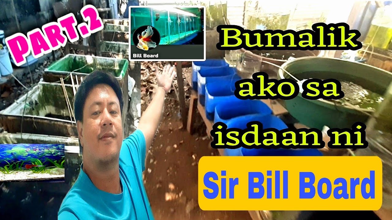 Bumalik ako sa murang isdaan ni sir Bill Board sa bulacan