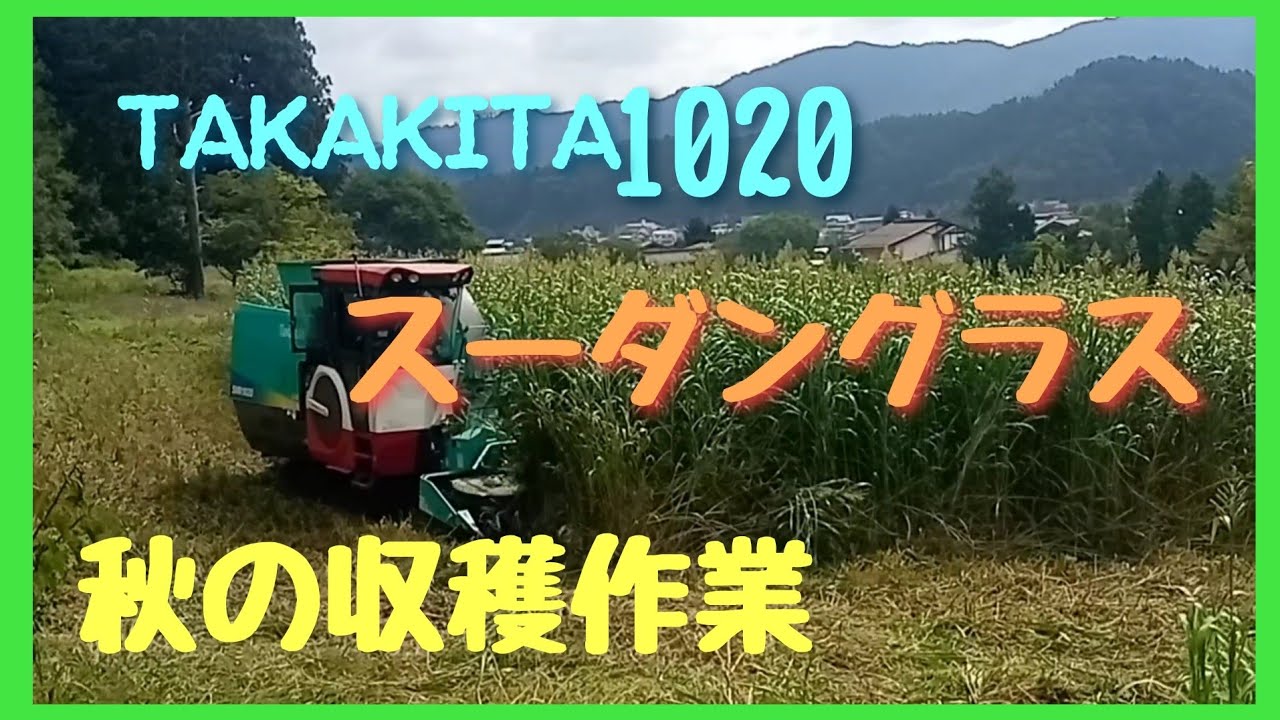 TAKAKITA1020による 秋の収穫作業 スーダングラス
