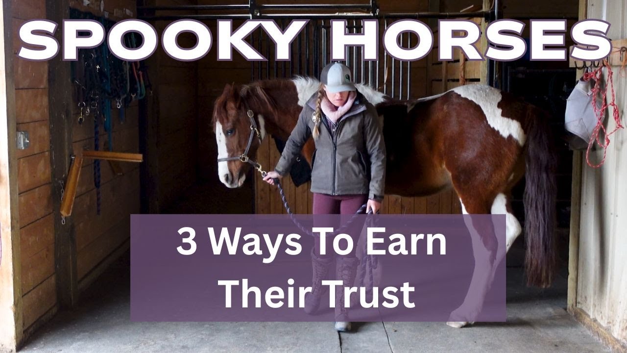 If You Have a Spooky Horse, WATCH THIS VIDEO!