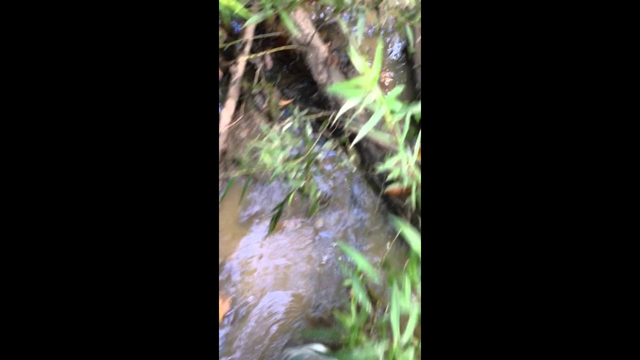 Bare feet in wet mud