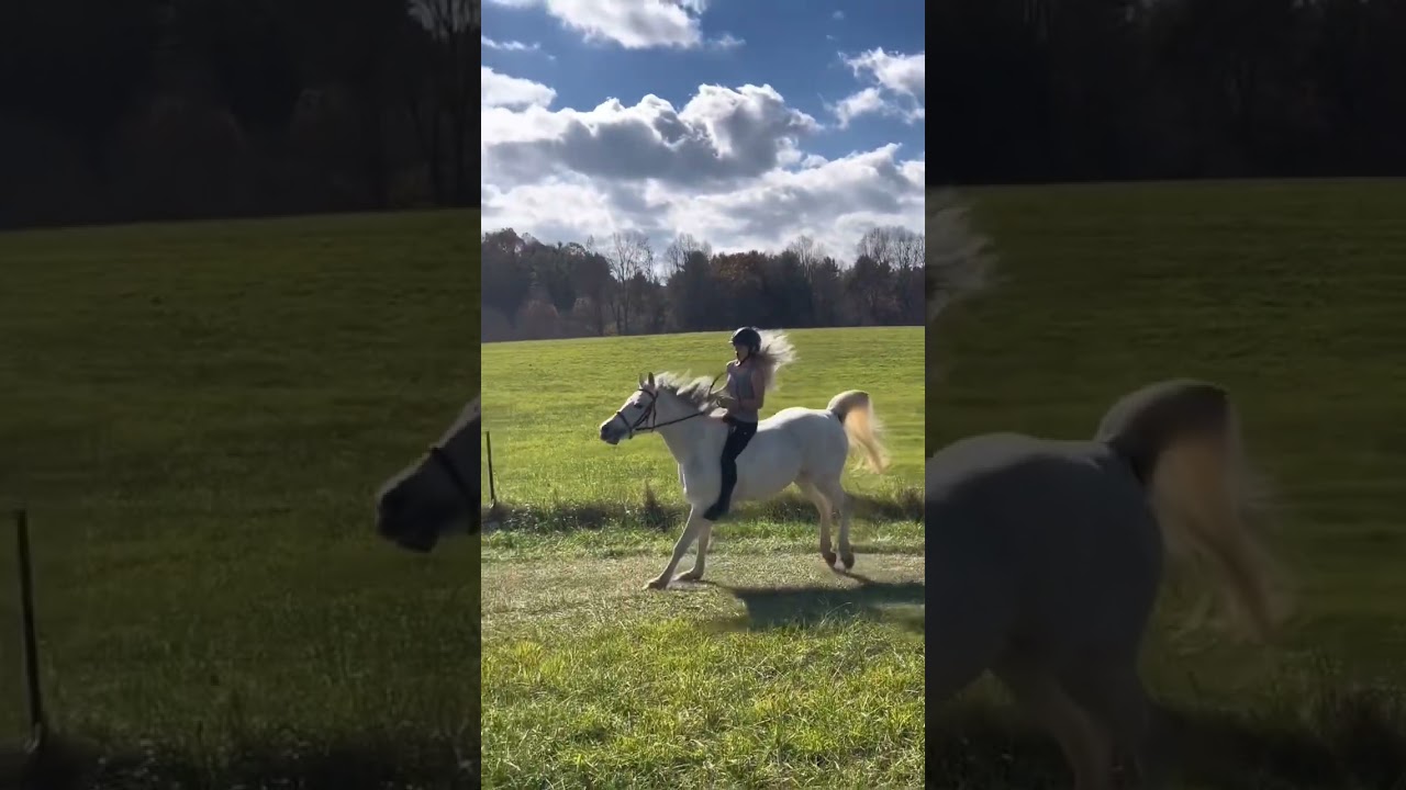 Normalizing mistakes 🫶🏻 #inspiration #motivation #horsemanship #equestrian #improvement #gallop