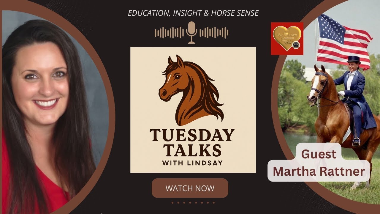 Tuesday Talks with Lindsay: How Horses Change Lives - Guest Martha Rattner