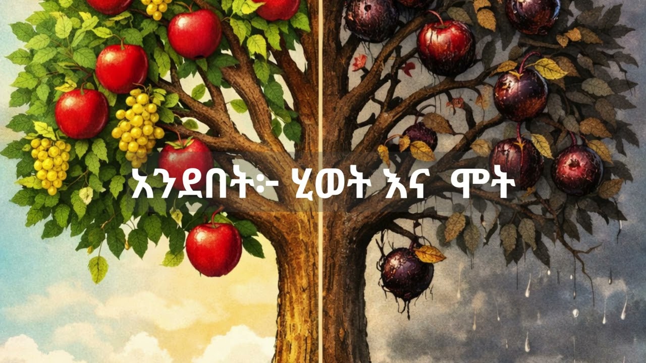 አንደበት፦ ሂወት ና ሞት፣ በረከት ና እርግማን| Our Tongue | Amharic Bible | Audio