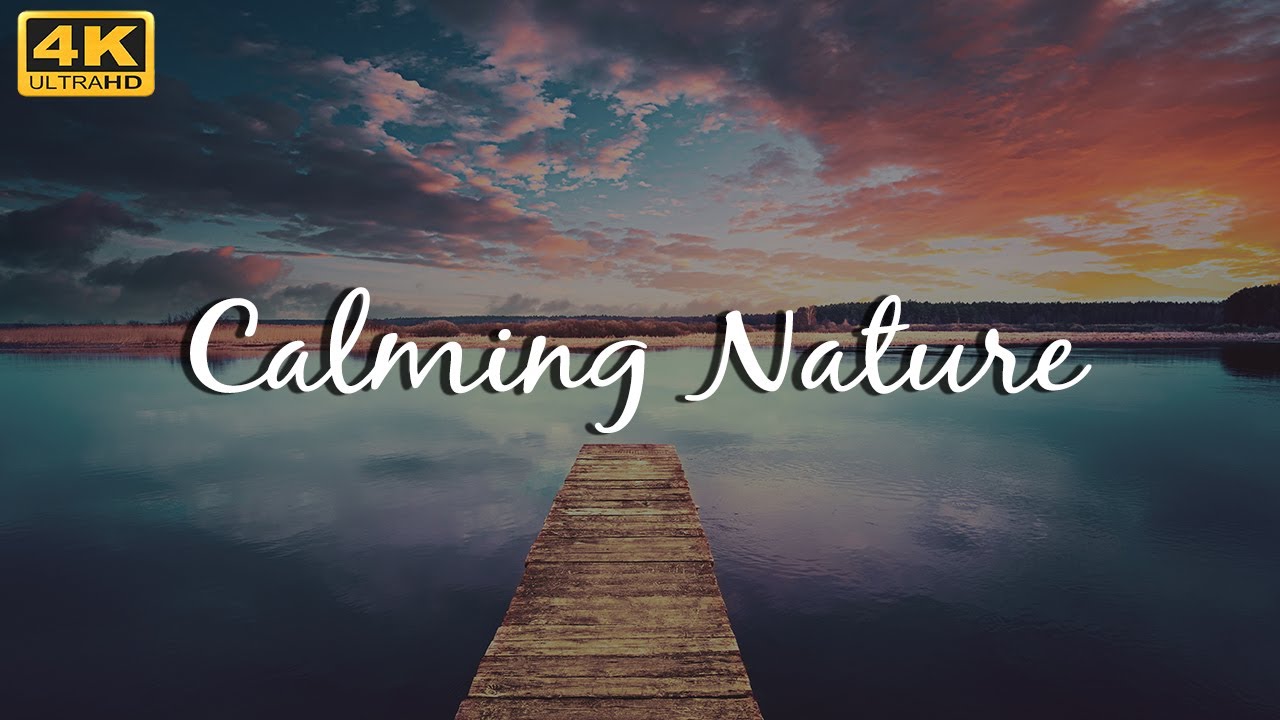 Calming Nature with Slow Relaxing Piano Music for Sleeping, Studying or Meditation | 3 Hours