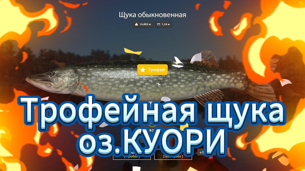 оз.Куори-Трофейная щука.#РР4#Русскаярыбалка4
