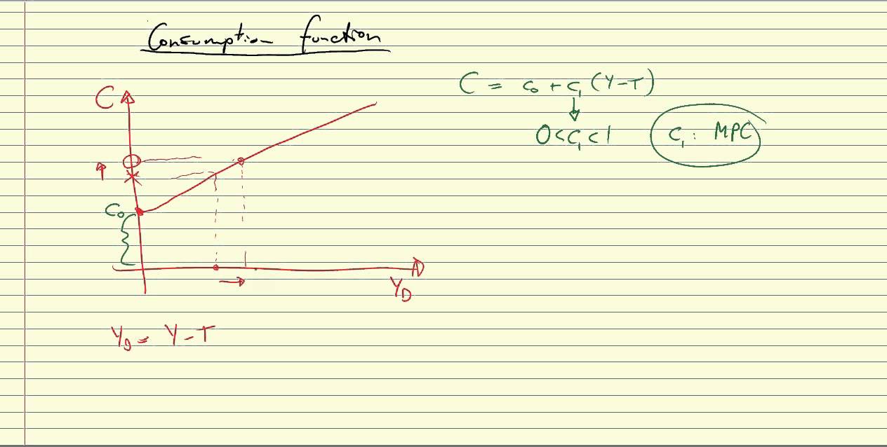 Consumption function