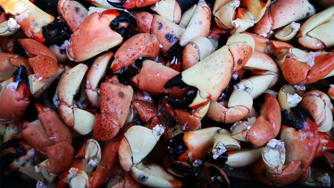 How To Cook Stone Crab Claws