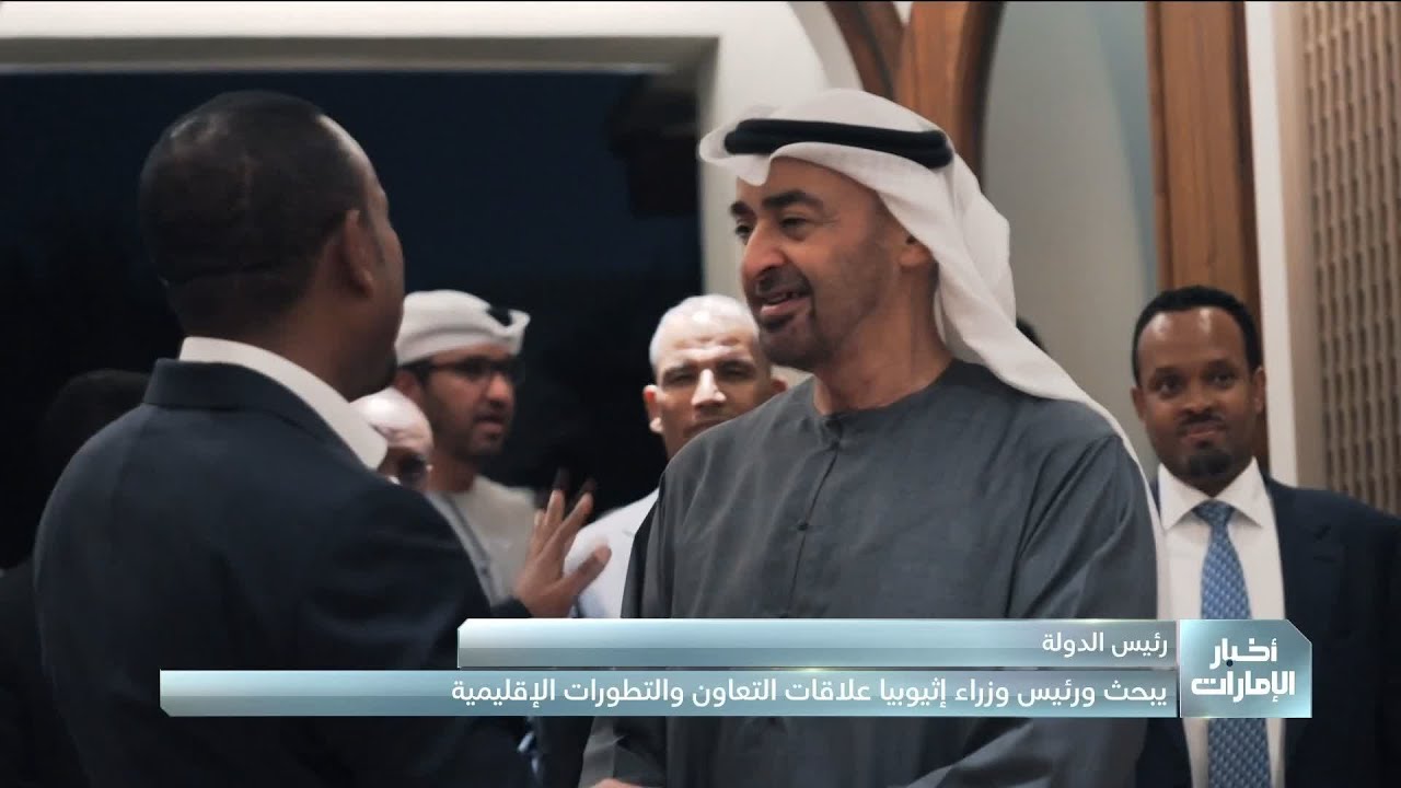 رئيس الدولة ورئيس وزراء إثيوبيا يبحثان علاقات التعاون والتطورات الإقليمية