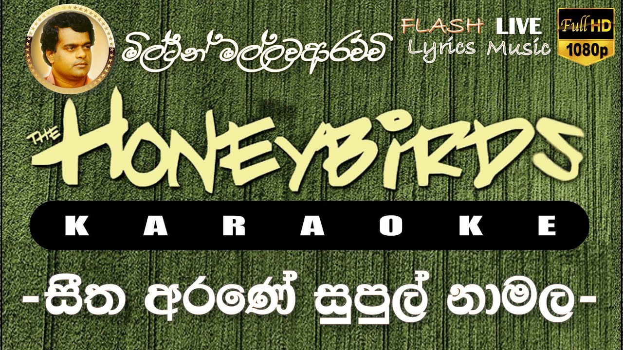 Seetha Arane Supul Namala Karaoke (Without Voice) සීත අරණේ සුපුල් නාමල කැරෝකේ
