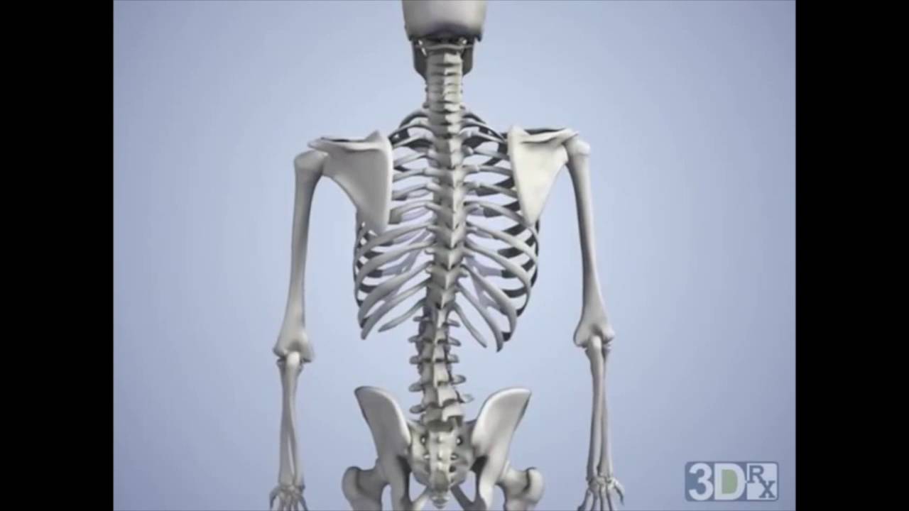 The Effects of Carrying a Heavy Backpack