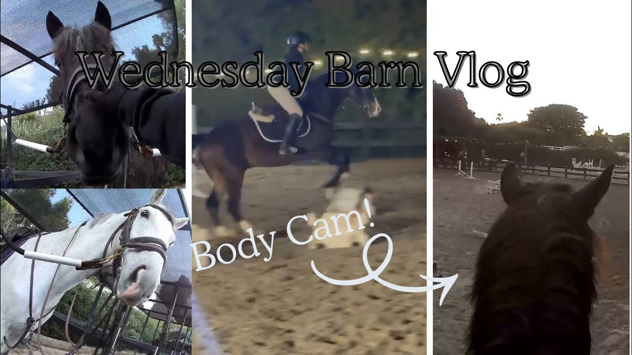 What My Riding Lesson Looks Like (Body Cam)