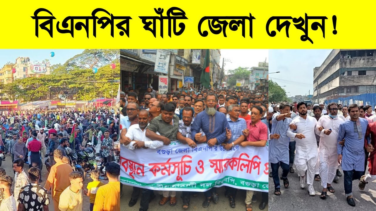 বিএনপির ৫ ঘাঁটি জেলা | Top 5 BNP Supporters District in Bangladesh