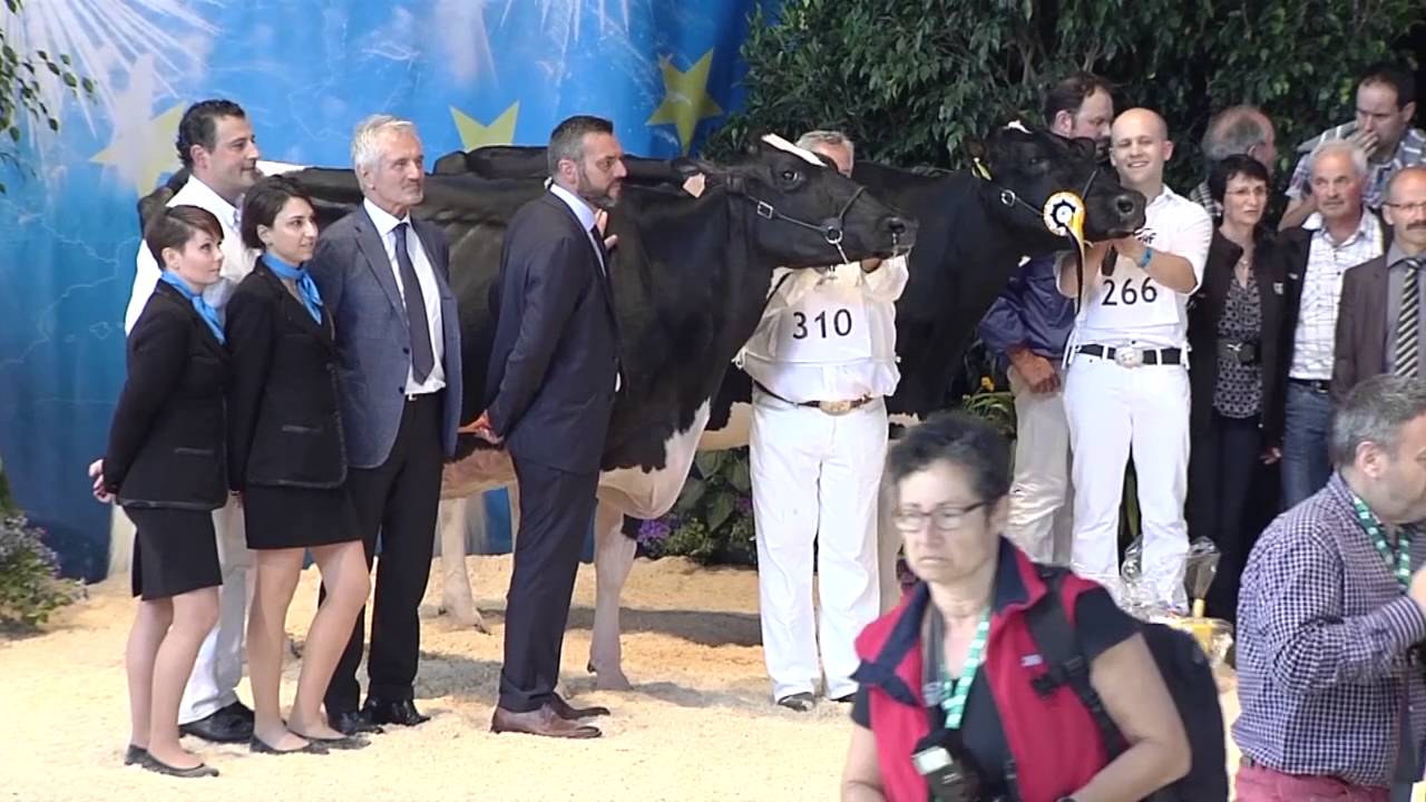 Colmar 2016 | Grand Champion - Holstein