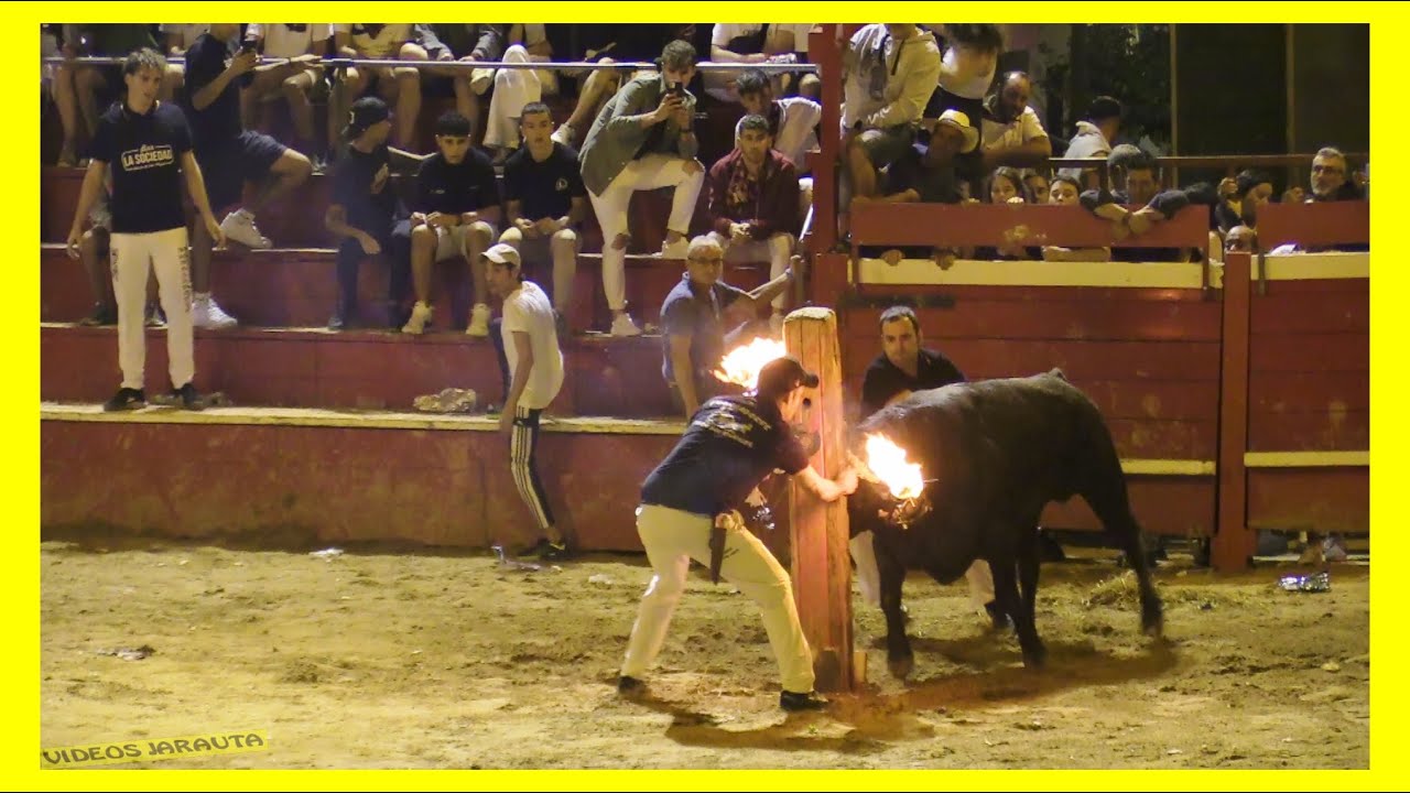 NOVALLAS ( ZARAGOZA ) NOCHE TORO DE RONDA ( SABADO 16 SEPTIEMBRE 2023 ) GANAD.P.DOMINGUEZ