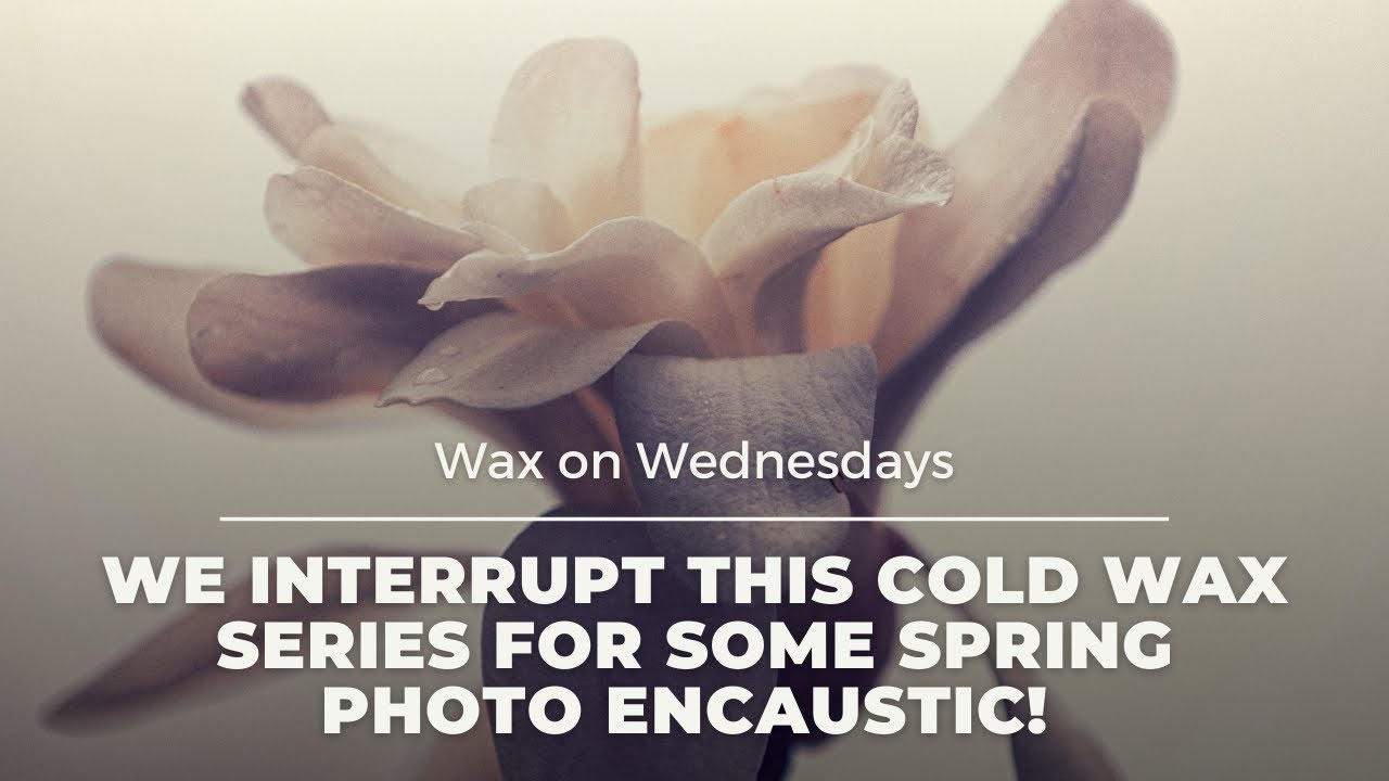 Wax on Wednesdays We interrupt This Cold Wax Series for Some Spring Blooms and Photo Encaustic!