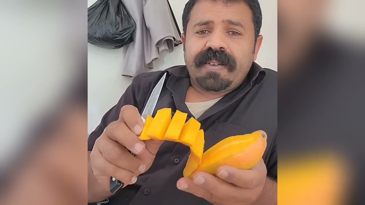 كيفوا ورتاحوا ومانزل من السماء تلقته الأرض