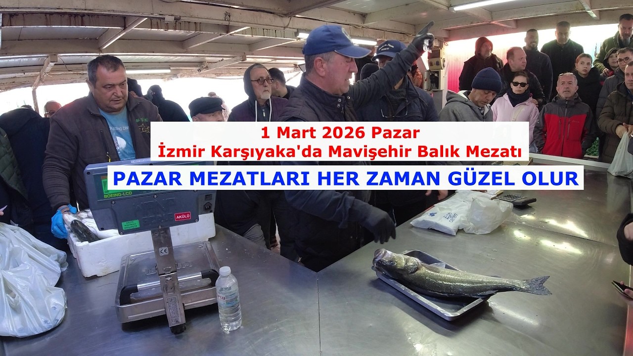 MAVİŞEHİR BALIK MEZATINDA GÜZEL BİR PAZAR MEZATI. 1 MART 2026.