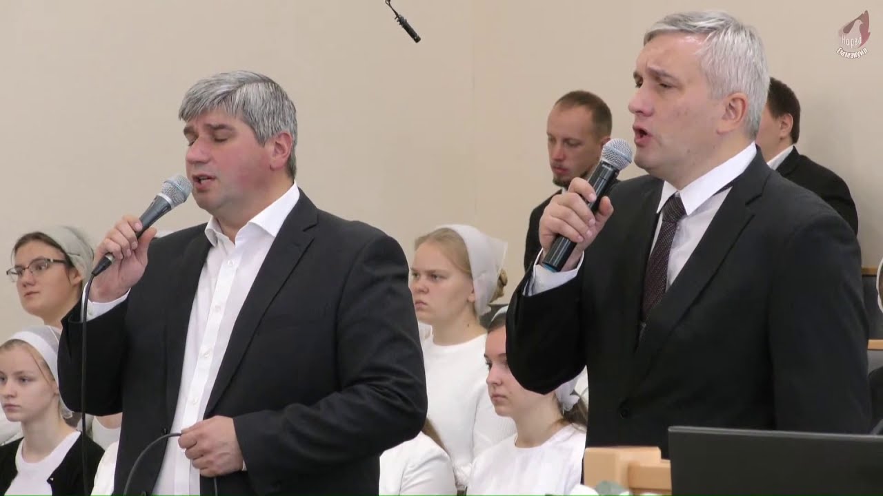 Тополя, тополя, тополя... пара аистов в небе бездонном.  