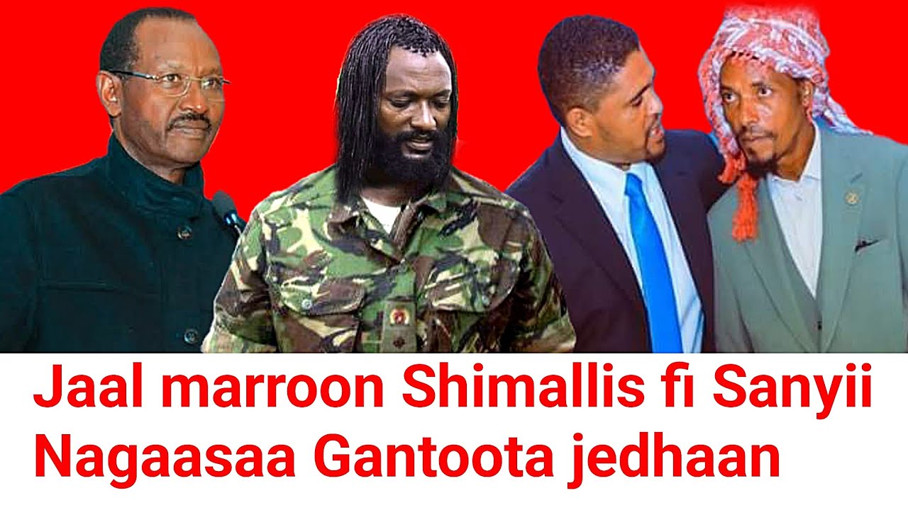 ODUU Ammee Jaal Marroo Shimallis fi Sanyii Nagaasaa gantota jechun dubbataniiru