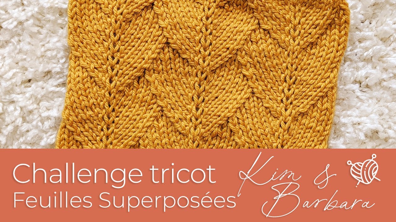 Challenge Tricot : #16 Motif Feuilles superposées