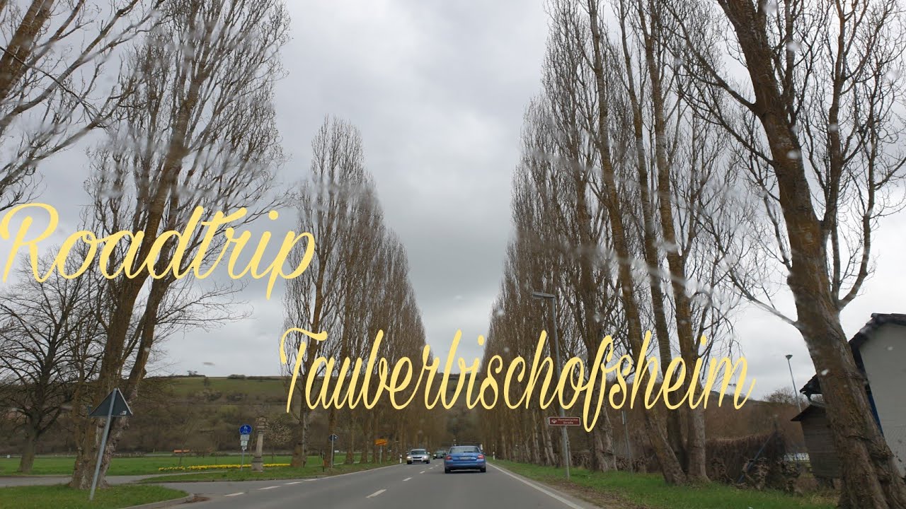 Driving to TAUBERBISCHOFSHEIM l Annie Mich