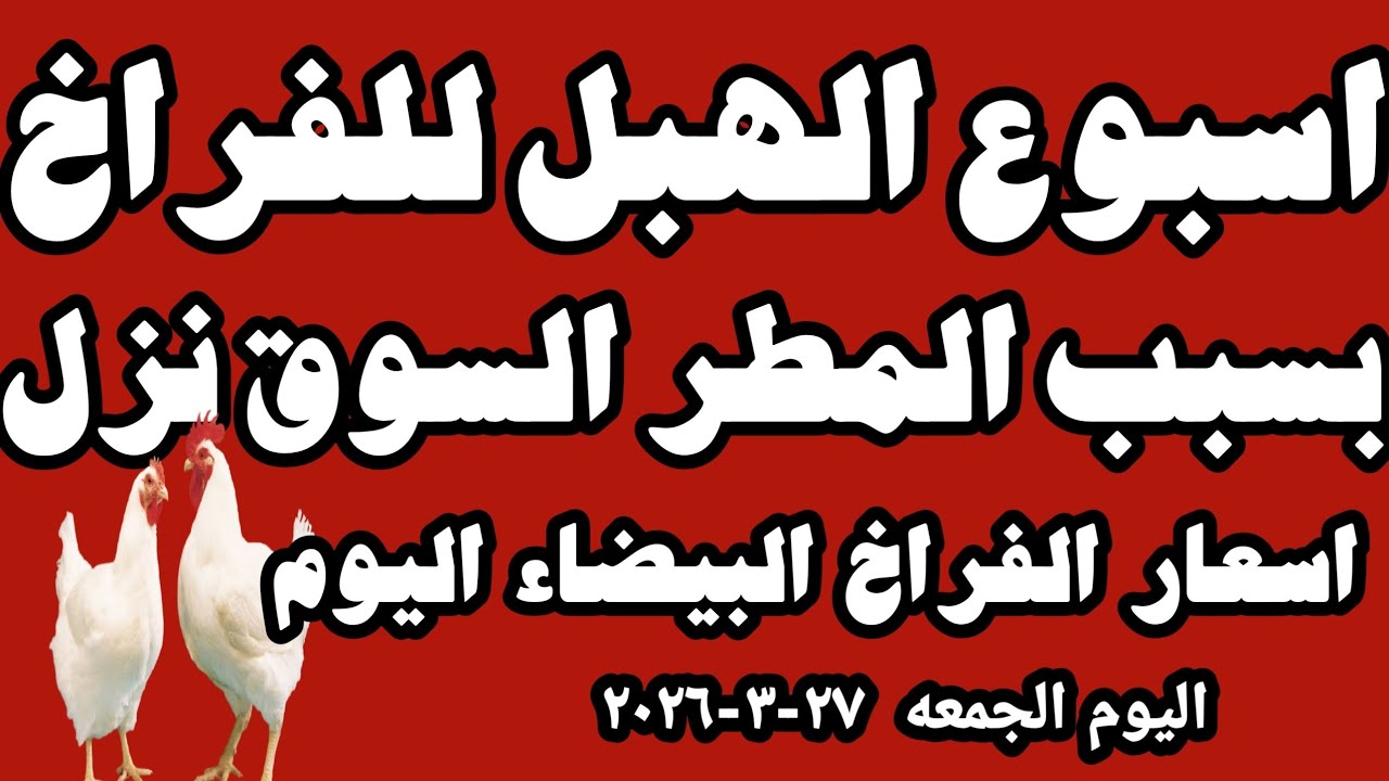 اسعار الفراخ البيضاء اليوم سعر الفراخ البيضاء اليوم الجمعه ٢٧-٣-٢٠٢٦ في المحلات في مصر 