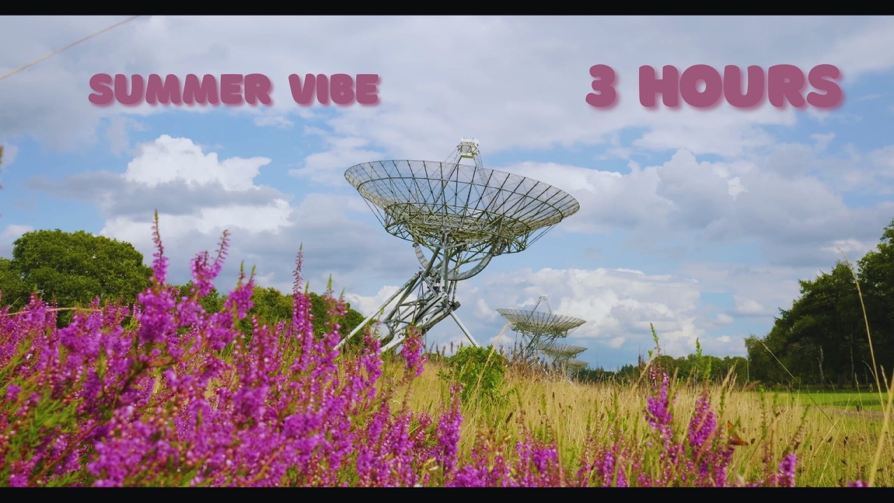 Summer Meadow Sounds – 3 Hours of Relaxing Nature Sounds for Sleep & Study | No Music