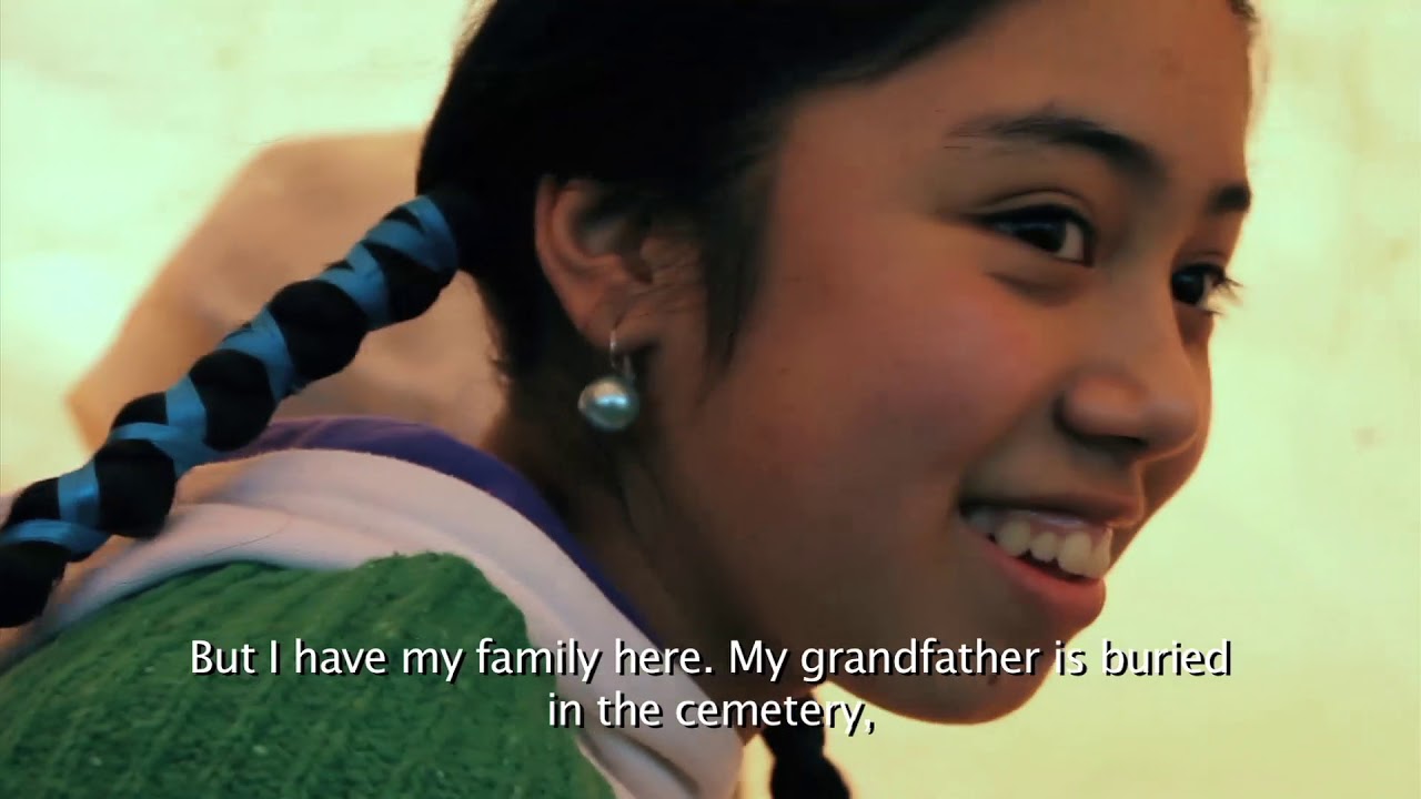 MAPUCHE RESISTANCE / Sacred Territory Documentary,  Documentary