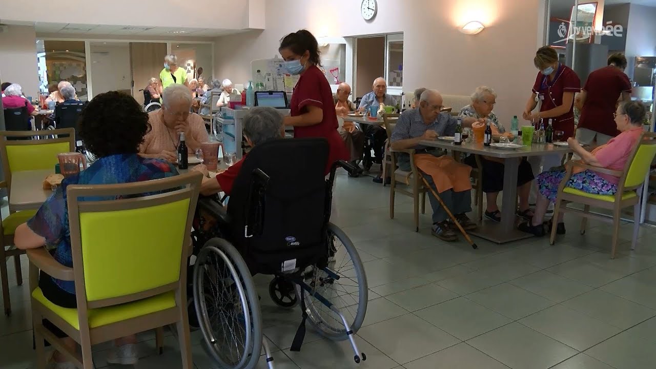 Fortes chaleurs : apporter une attention tr&egrave;s particuli&egrave;re aux a&icirc;n&eacute;s