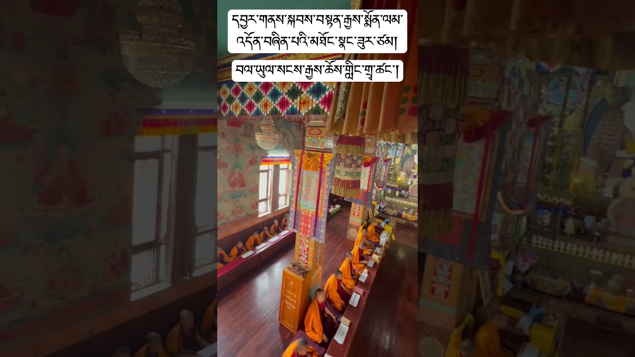 SUMMER RETREAT वर्षा वास#summerretreat #molam#prayer #buddhist