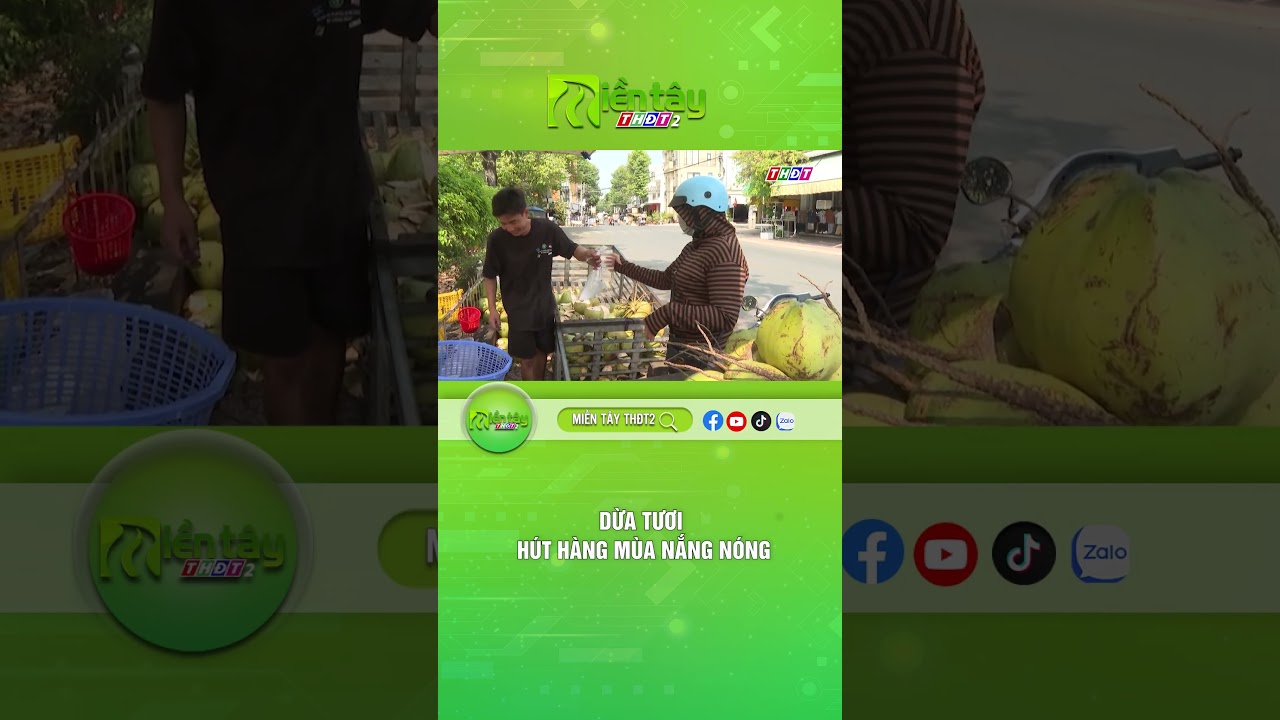 Dừa tươi h&uacute;t h&agrave;ng m&ugrave;a nắng n&oacute;ng #dua #huthang #tanggia