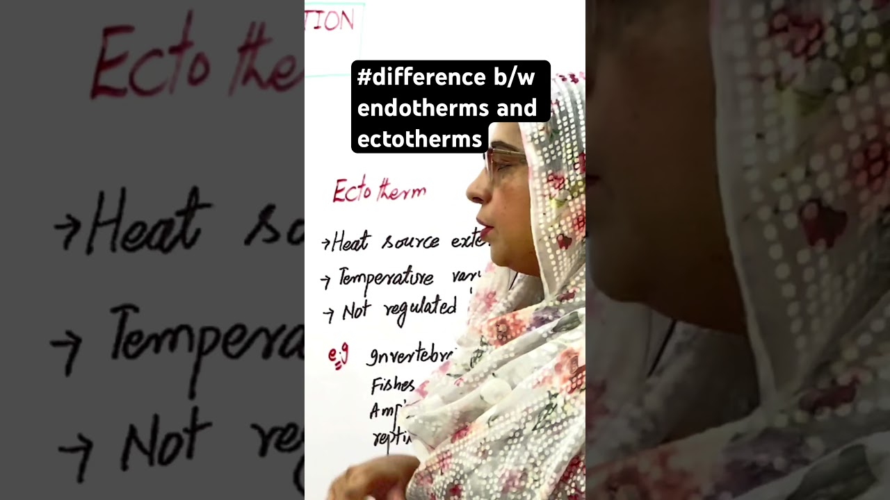 Difference between endotherm and ectotherm