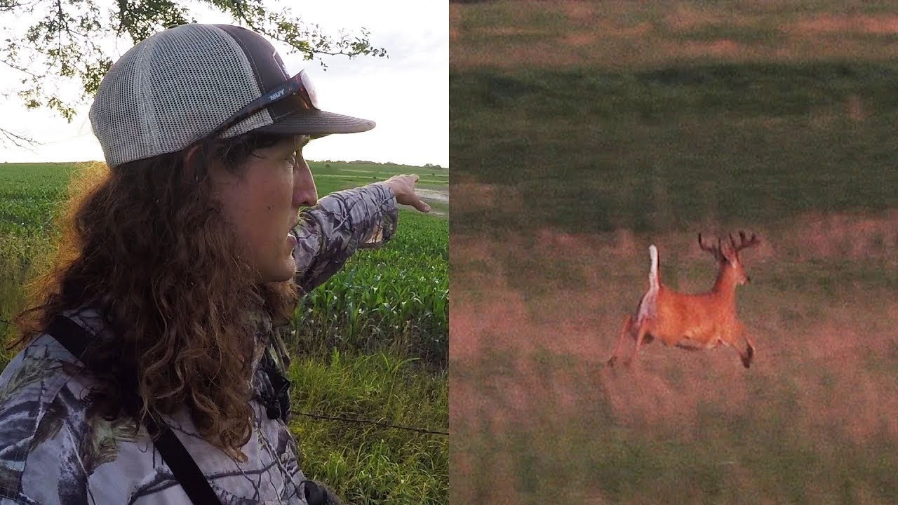 HOW TO HUNT STAGING AREAS - BIG BUCKS ON PUBLIC LAND