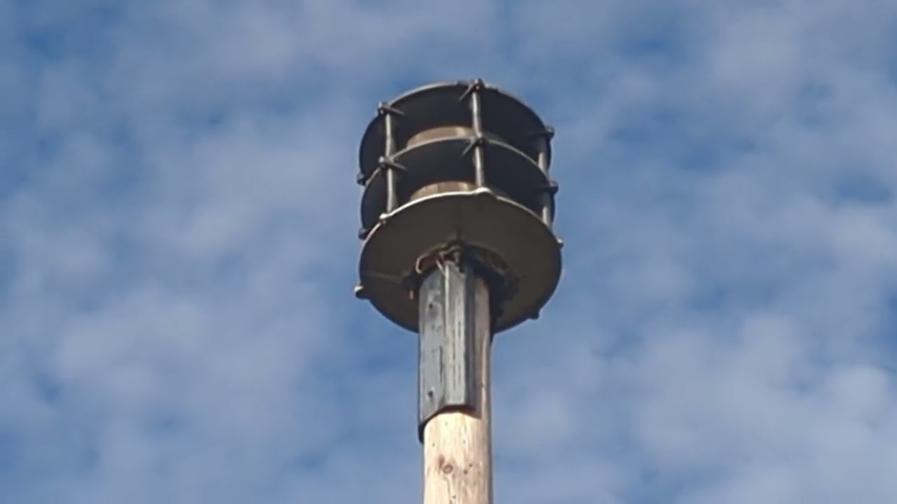 Whelen WPS-2802 (560Hz) Alert Signal w/ Ambience Arlington Heights, IL 11/4/25 Monthly Siren Test