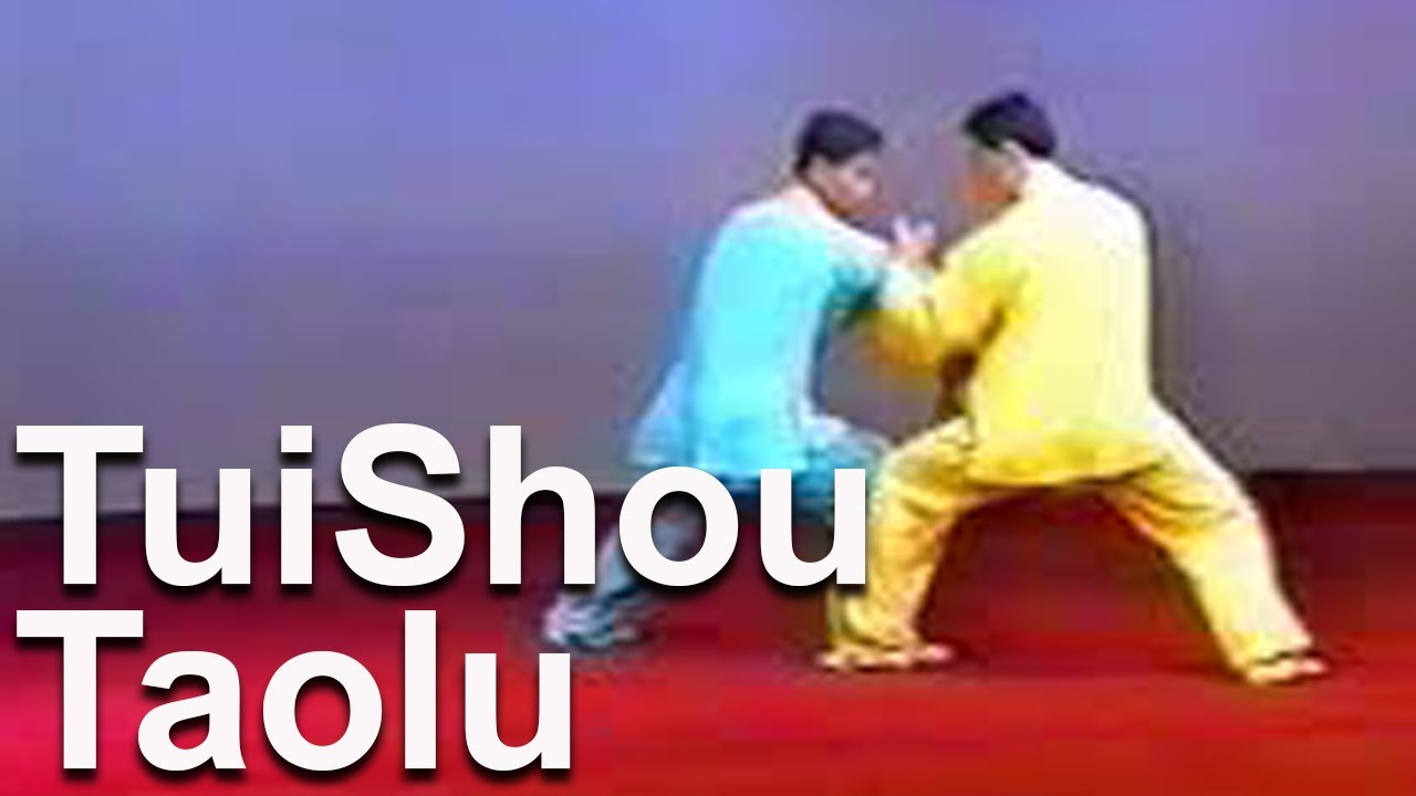 推手套路 - Tuīshǒu tàolù
