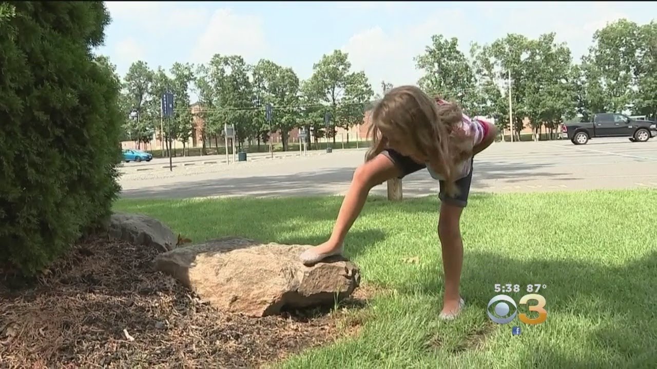 Wialliamstown Residents Comes Together Via Painted Rocks