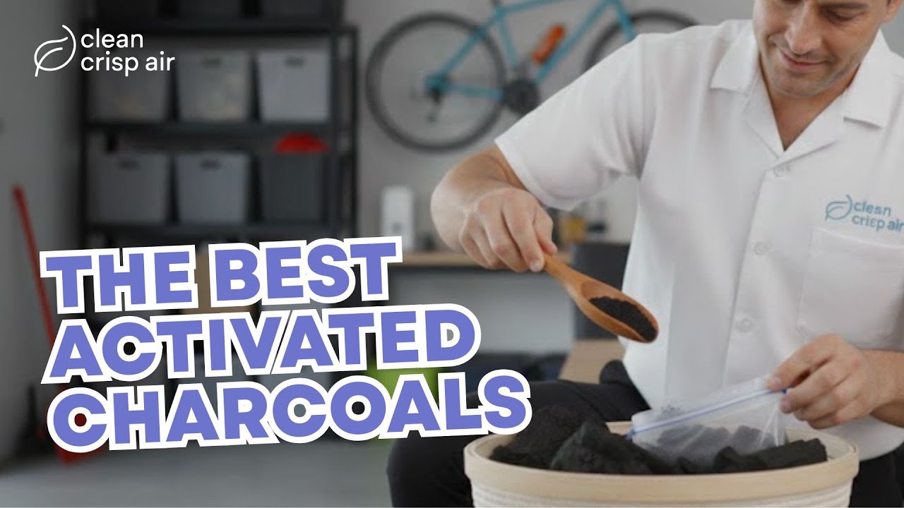 Which is the best activated charcoal for odor removal?