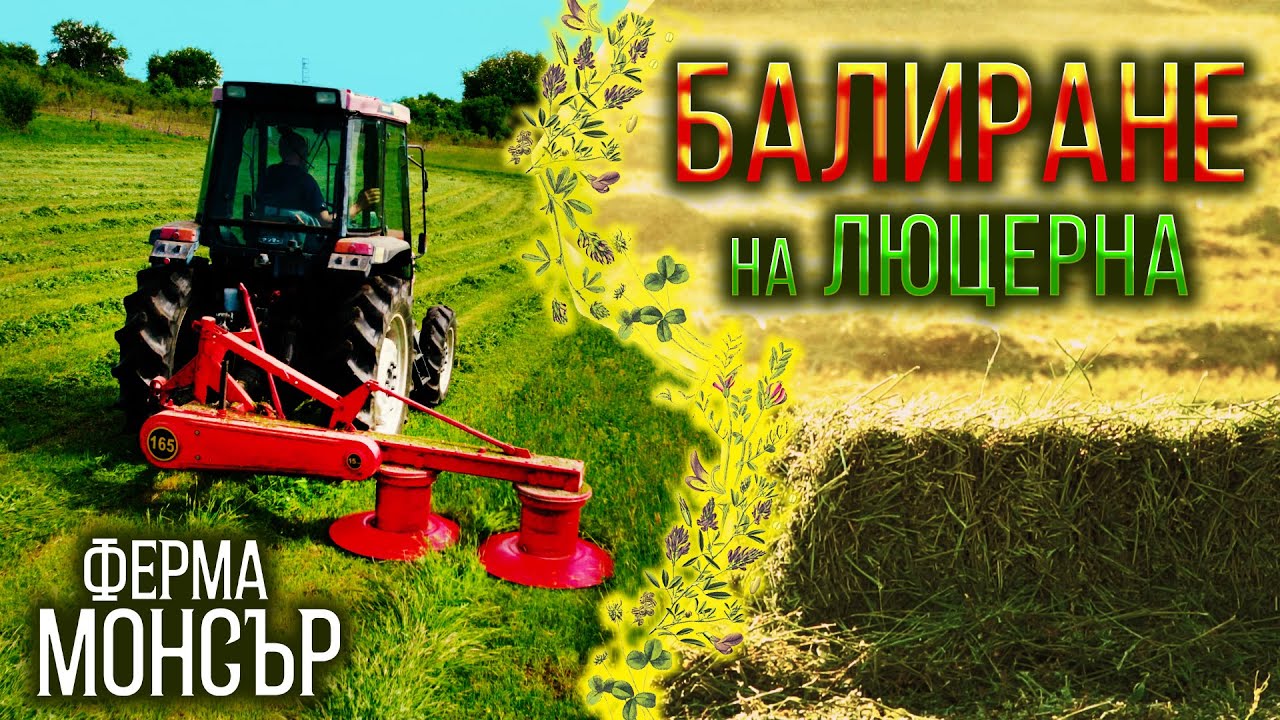 На Бали във Ферма Монсър | Косене и балиране на люцерна | Цветомир и Поли