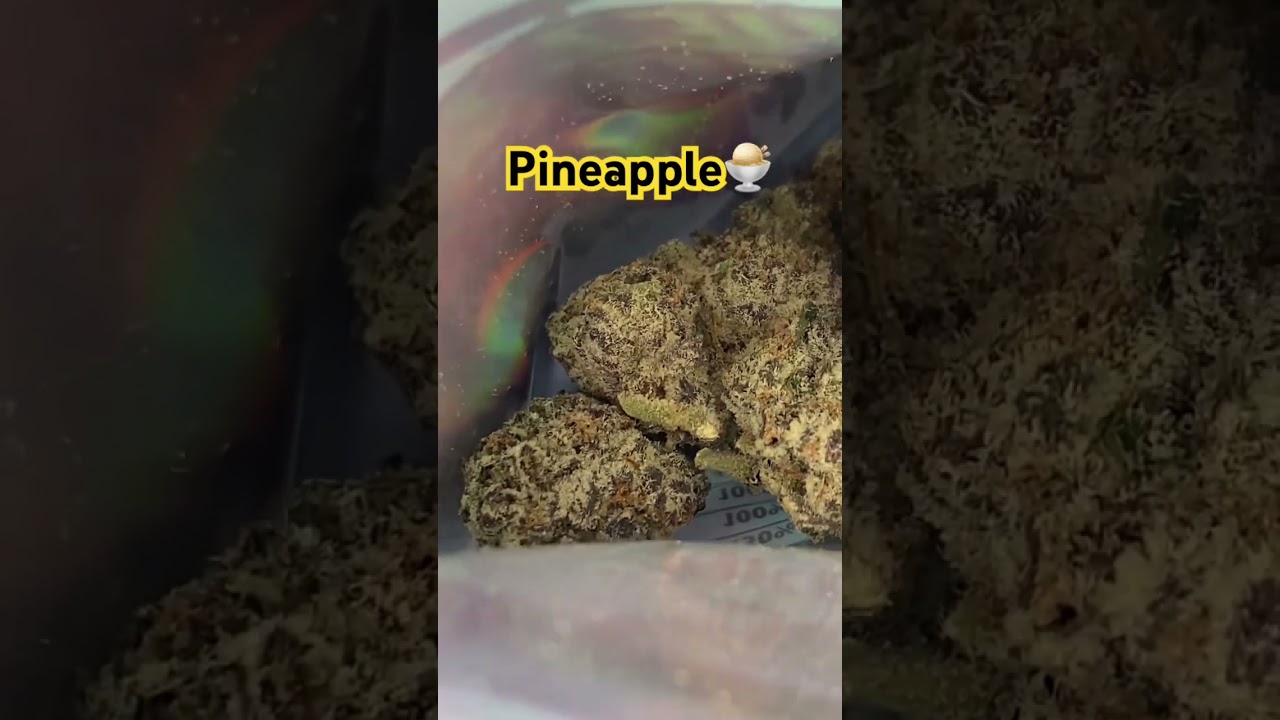 Pineapple Gelato by @baysmokes @Mrthc